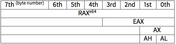 RAX/EAX/AX/AL在 x86-64 构架里的情况